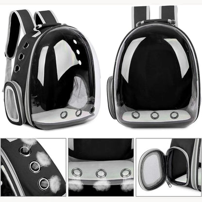 Transparent Capsule Cat Backpack for Travel and Comfort - Smarsty
