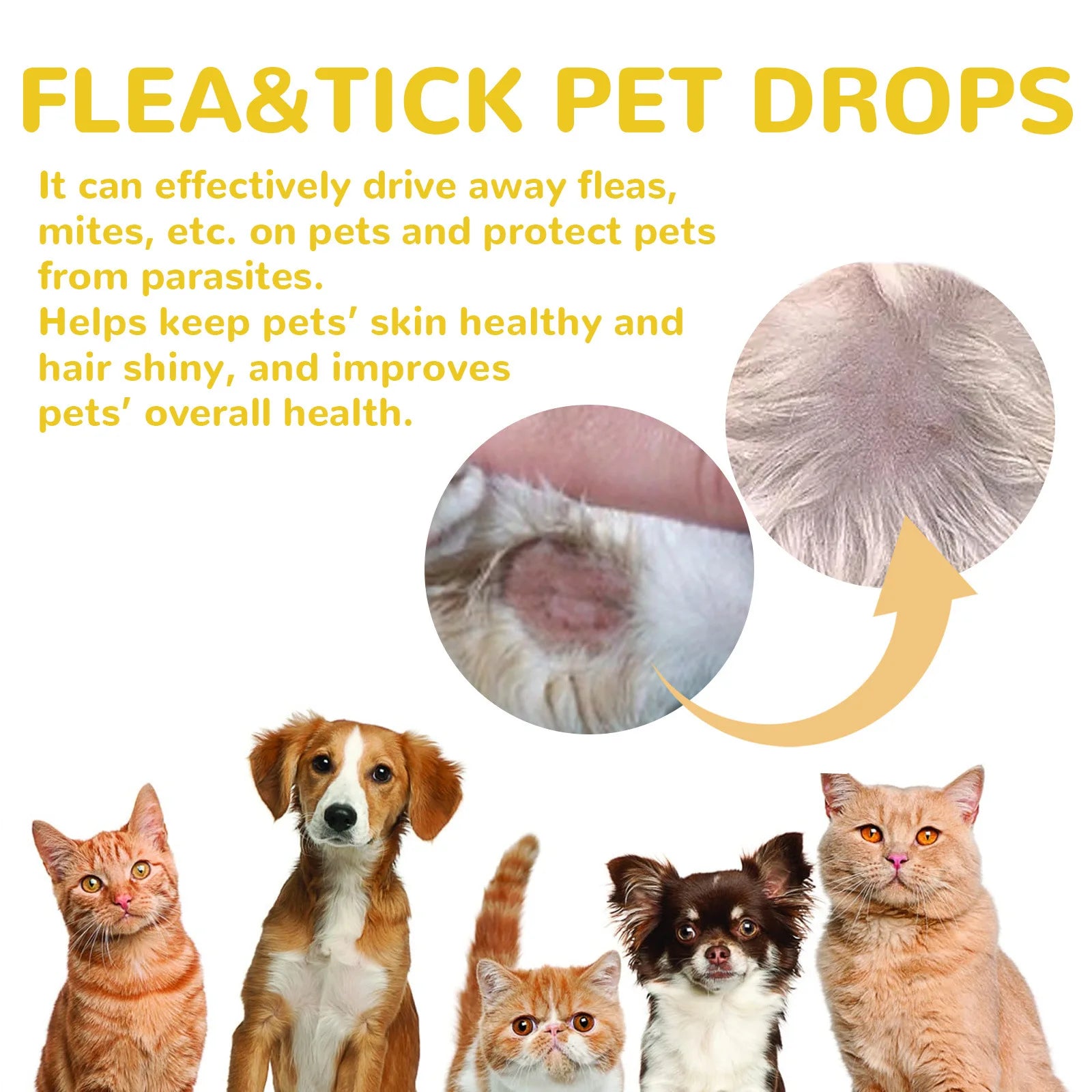 Cat Flea Treatment Drops for Itch Relief and Protection - Smarsty