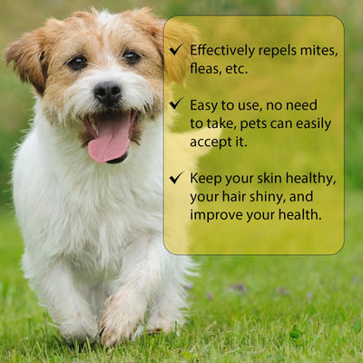Cat Flea Treatment Drops for Itch Relief and Protection - Smarsty