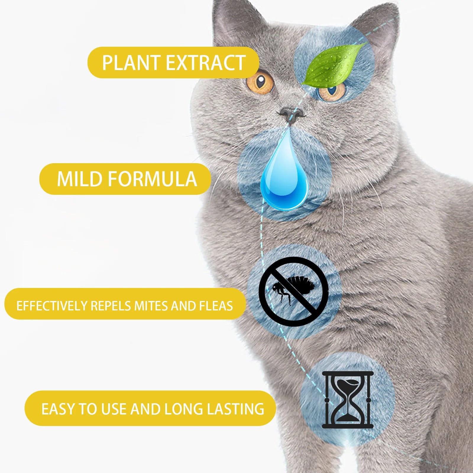 Cat Flea Treatment Drops for Itch Relief and Protection - Smarsty