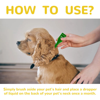 Cat Flea Treatment Drops for Itch Relief and Protection - Smarsty
