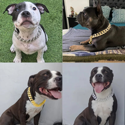 Diamond Inlay ABS Plastic Dog Collar for All Breeds - Smarsty