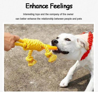 Durable Cotton Rope Dog Chew Toy for Teeth Cleaning - Smarsty