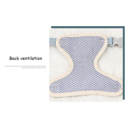 Small Pet Vest Harness with Leash for Safe Walking - Smarsty