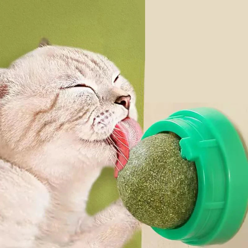 Natural Catnip Wall Toy for Healthy Digestion - Smarsty
