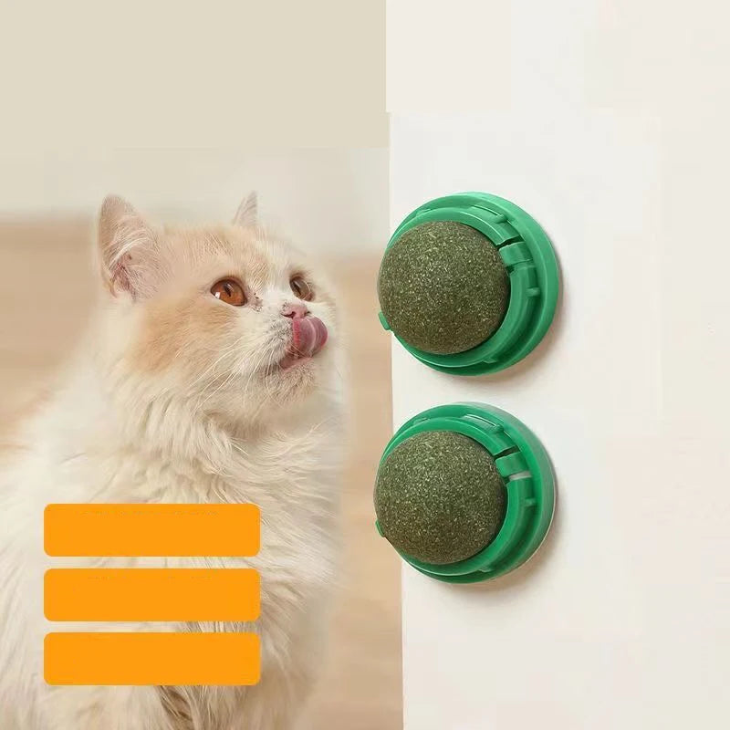Natural Catnip Wall Toy for Healthy Digestion - Smarsty