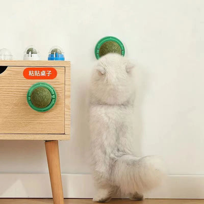 Natural Catnip Wall Toy for Healthy Digestion - Smarsty