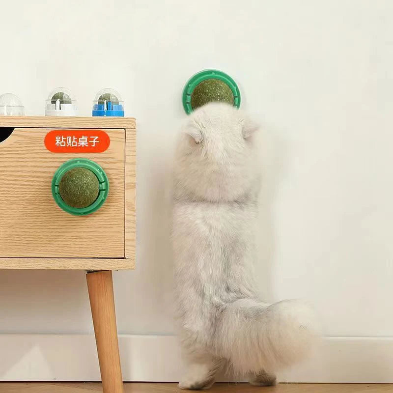 Natural Catnip Wall Toy for Healthy Digestion - Smarsty