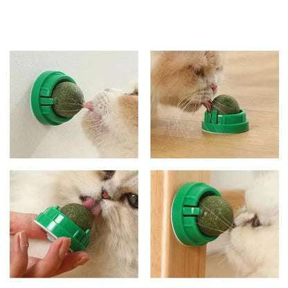 Natural Catnip Wall Toy for Healthy Digestion - Smarsty