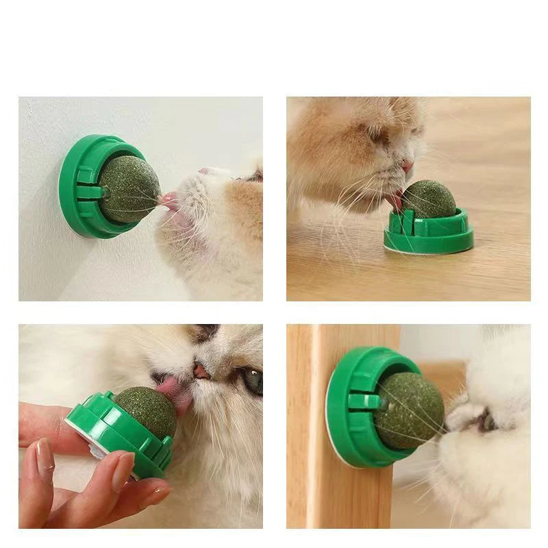 Natural Catnip Wall Toy for Healthy Digestion - Smarsty
