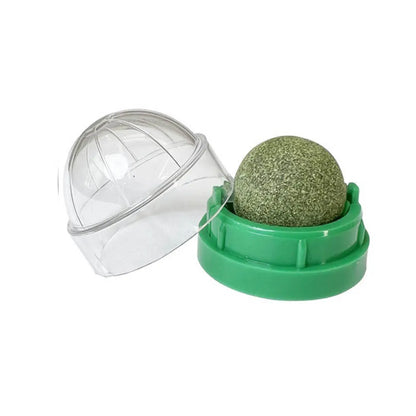 Natural Catnip Wall Toy for Healthy Digestion - Smarsty