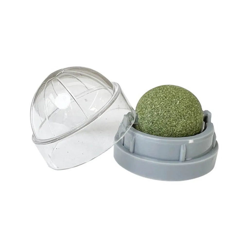 Natural Catnip Wall Toy for Healthy Digestion - Smarsty