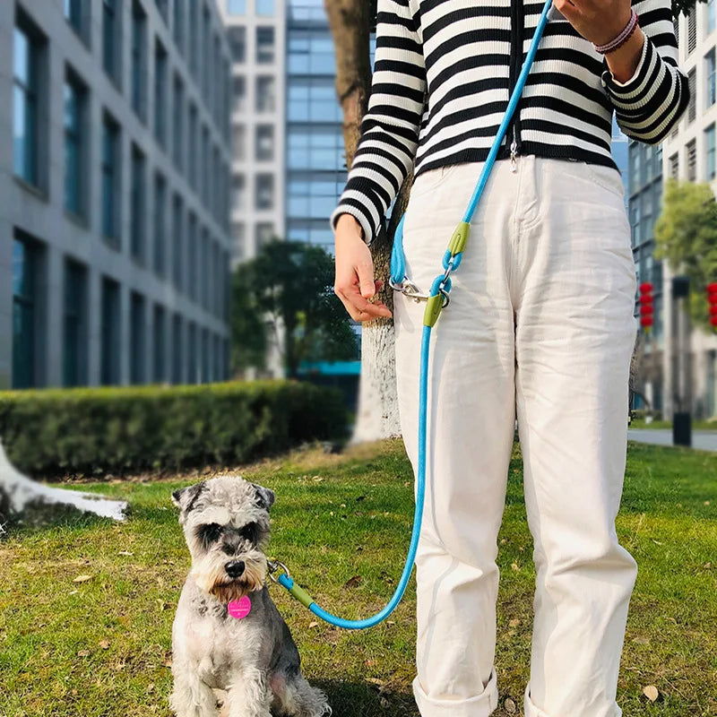 Reflective Nylon Hands Free Dog Leash for Running - Smarsty