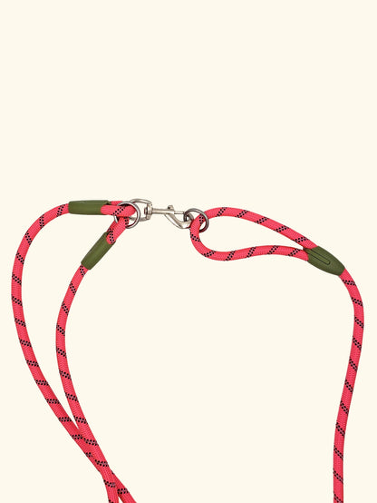 Reflective Nylon Hands Free Dog Leash for Running - Smarsty