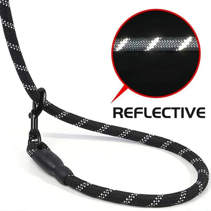 Reflective Dog Leash with Padded Handle for Safety - Smarsty