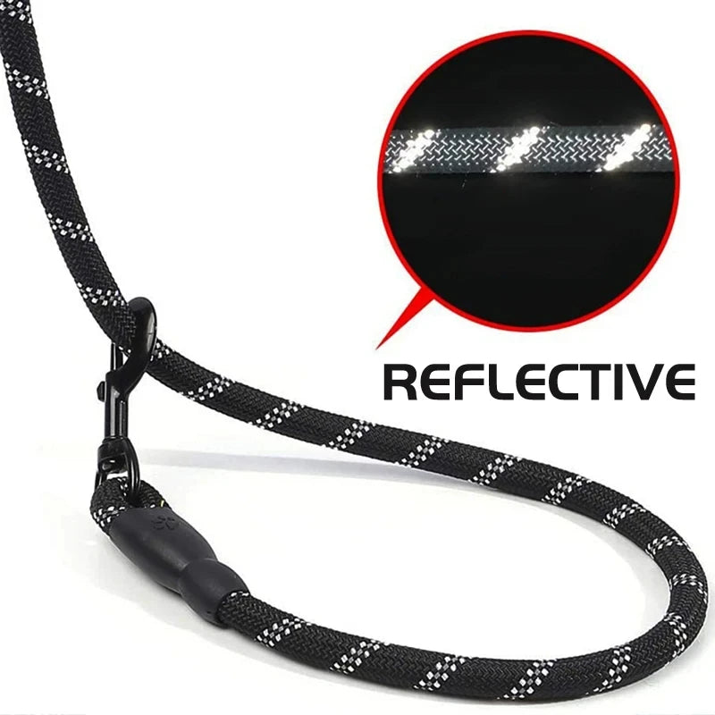 Reflective Dog Leash with Padded Handle for Safety - Smarsty
