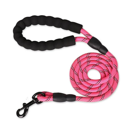 Reflective Dog Leash with Padded Handle for Safety - Smarsty