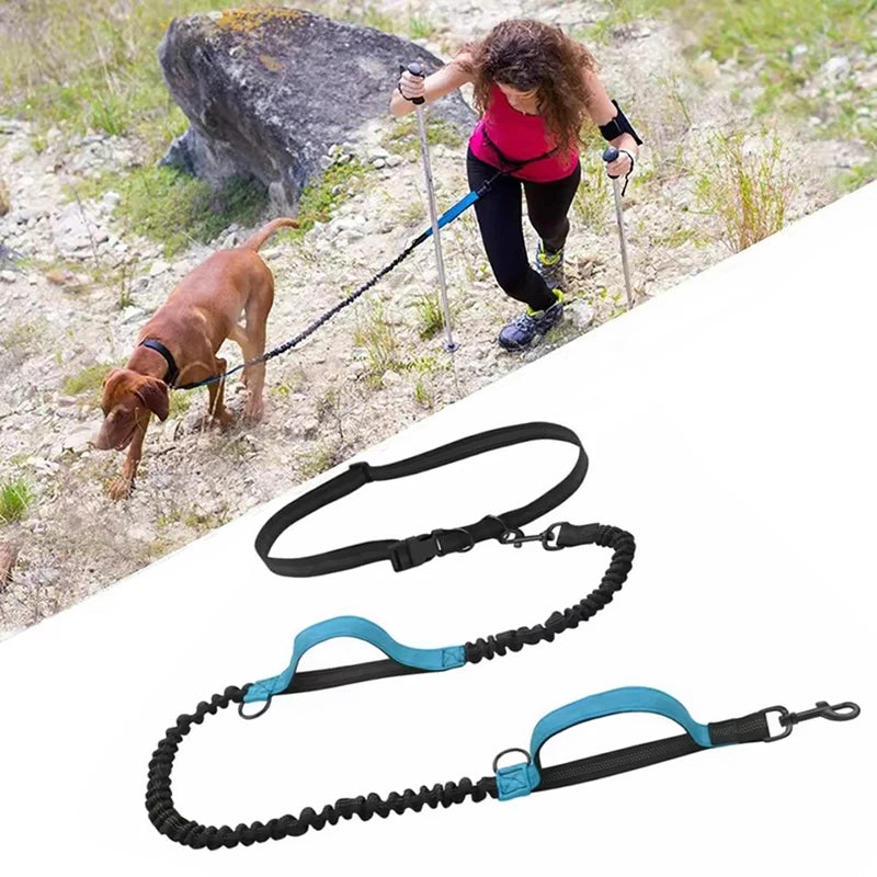 Reflective Hands-Free Dog Leash With Dual Handles - Smarsty