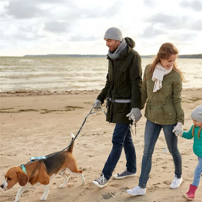 Reflective Hands-Free Dog Leash With Dual Handles - Smarsty