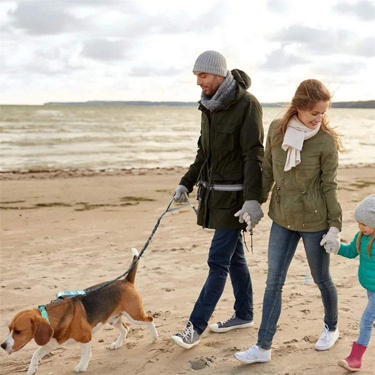 Reflective Hands-Free Dog Leash With Dual Handles - Smarsty
