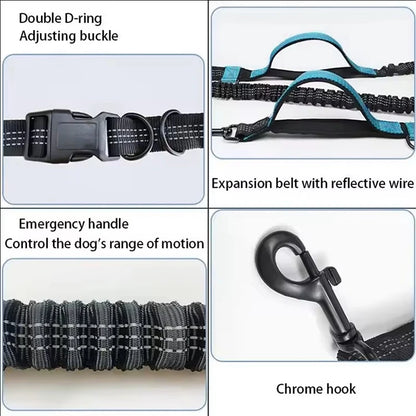 Reflective Hands-Free Dog Leash With Dual Handles - Smarsty