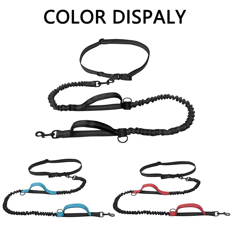 Reflective Hands-Free Dog Leash With Dual Handles - Smarsty