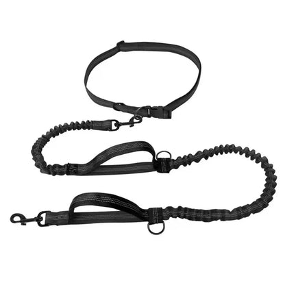 Reflective Hands-Free Dog Leash With Dual Handles - Smarsty
