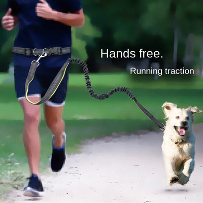 Hands Free Dog Leash Adjustable Waist Belt for Walking - Smarsty