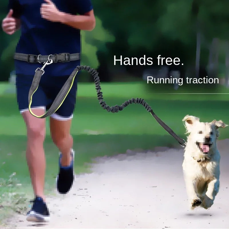 Hands Free Dog Leash Adjustable Waist Belt for Walking - Smarsty