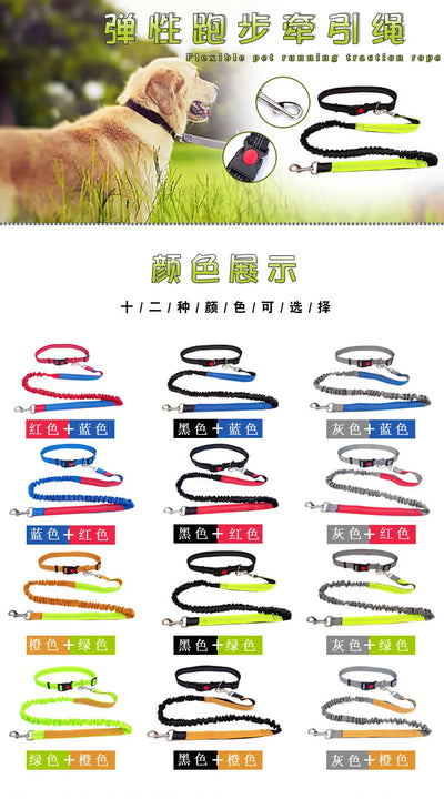 Hands Free Dog Leash Adjustable Waist Belt for Walking - Smarsty