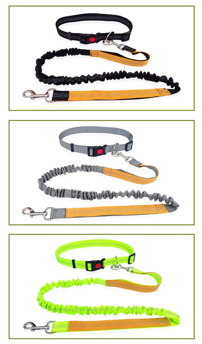 Hands Free Dog Leash Adjustable Waist Belt for Walking - Smarsty