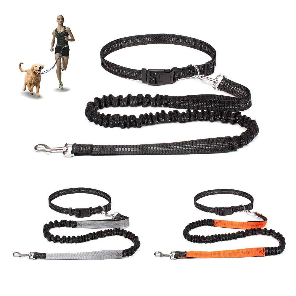 Hands Free Dog Leash for Comfortable Walking and Running - Smarsty