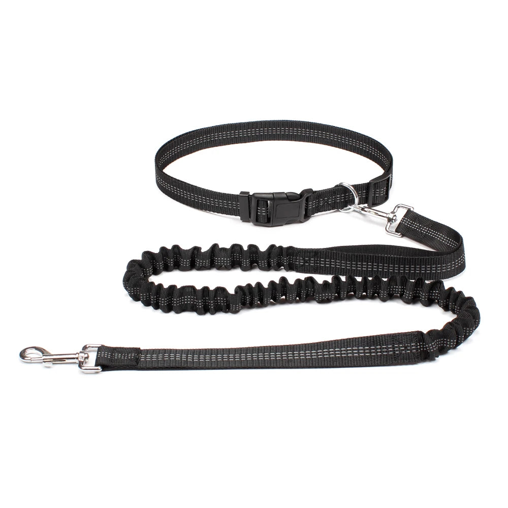Hands Free Dog Leash for Comfortable Walking and Running - Smarsty