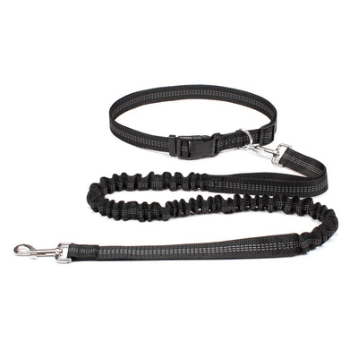 Hands Free Dog Leash for Comfortable Walking and Running - Smarsty