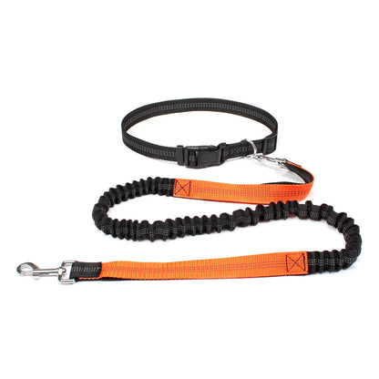 Hands Free Dog Leash for Comfortable Walking and Running - Smarsty
