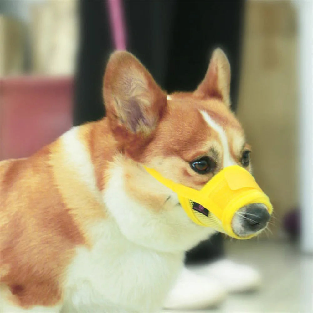 Adjustable Anti Barking Dog Muzzle for Small Dogs - Smarsty