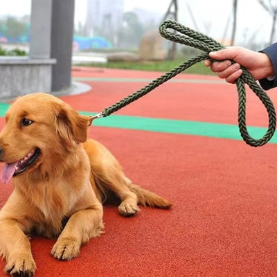 Large Dog Leash Nylon Braided Traction Rope - Smarsty