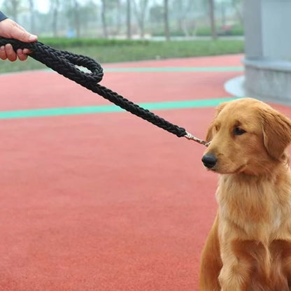 Large Dog Leash Nylon Braided Traction Rope - Smarsty