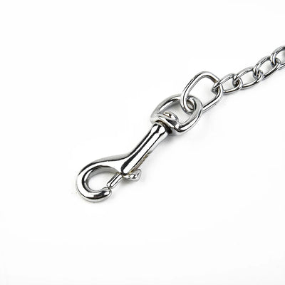 Metal Chain Dog Lead With Durable Leather Handle - Smarsty