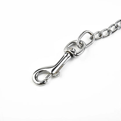 Metal Chain Dog Lead With Durable Leather Handle - Smarsty