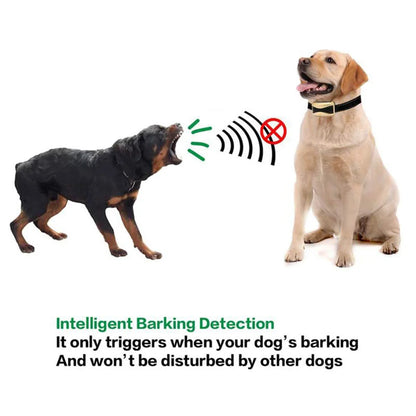 Rechargeable Anti Bark Training Collar for Dogs - Smarsty