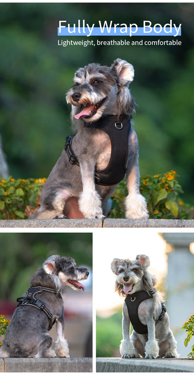 Personalized No Pull Reflective Dog Harness for All Sizes - Smarsty