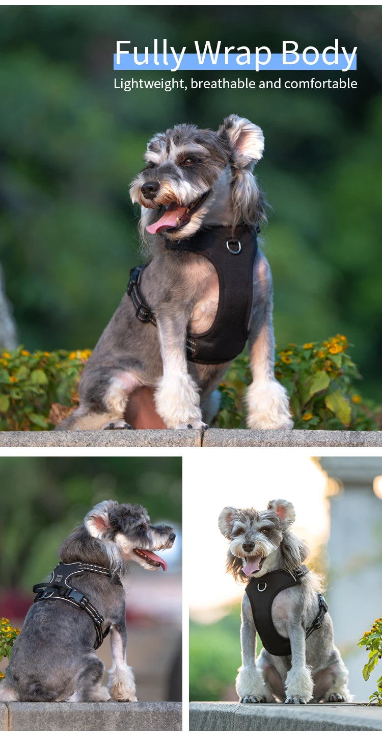 Personalized No Pull Reflective Dog Harness for All Sizes - Smarsty