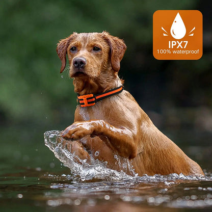 Waterproof Rechargeable Dog Training Collar with Remote - Smarsty