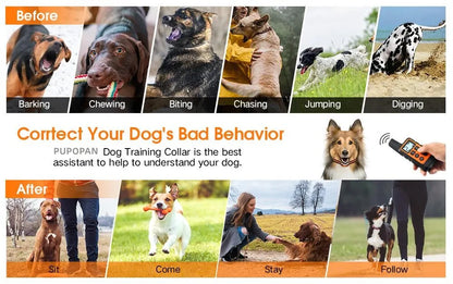 Waterproof Rechargeable Dog Training Collar with Remote - Smarsty