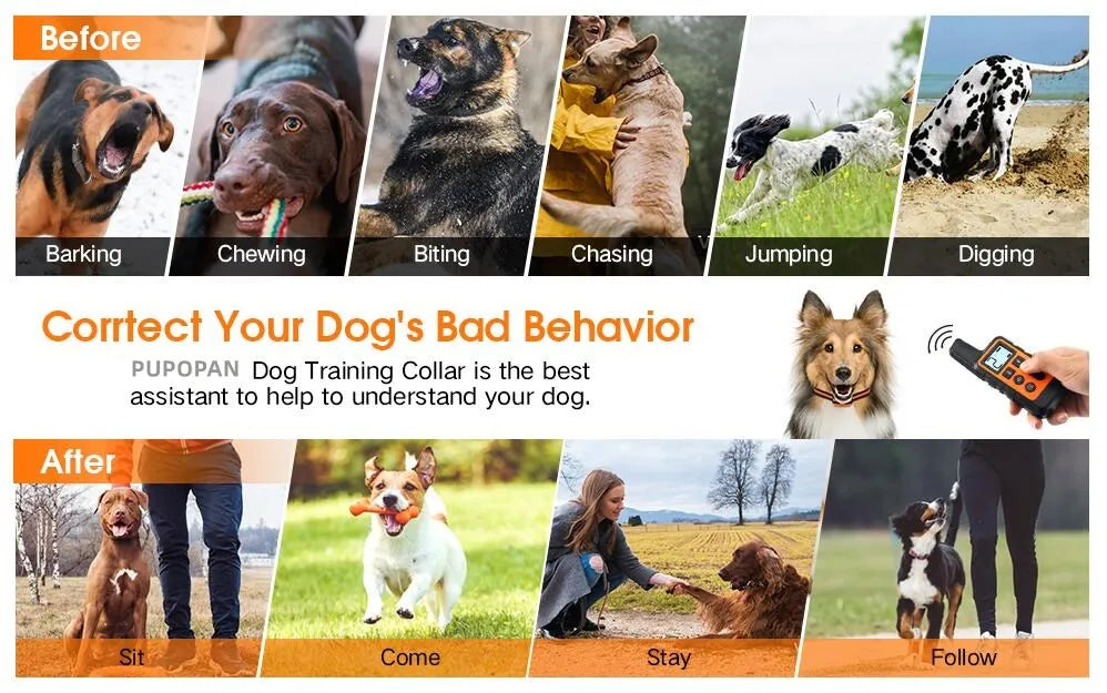 Waterproof Rechargeable Dog Training Collar with Remote - Smarsty