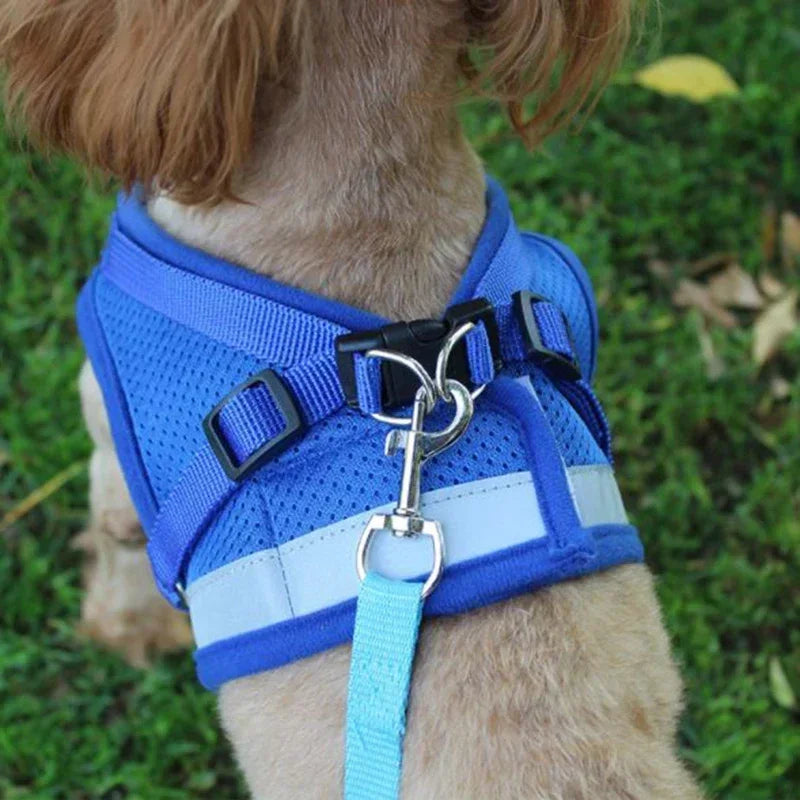 Adjustable Mesh Dog Harness with Comfortable Leash - Smarsty