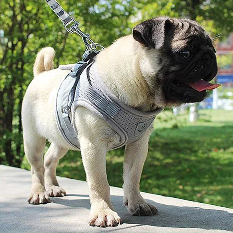 Adjustable Mesh Dog Harness with Comfortable Leash - Smarsty