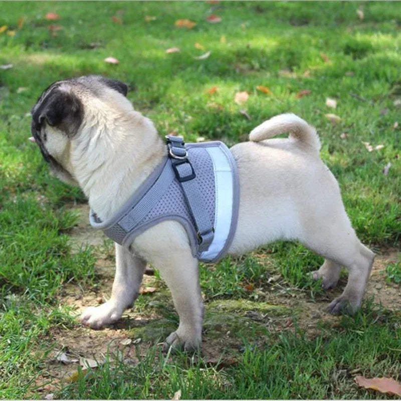 Adjustable Mesh Dog Harness with Comfortable Leash - Smarsty