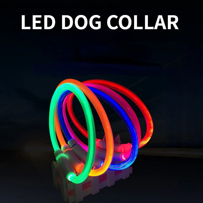 LED Pet Collar with USB Charging for Safety - Smarsty